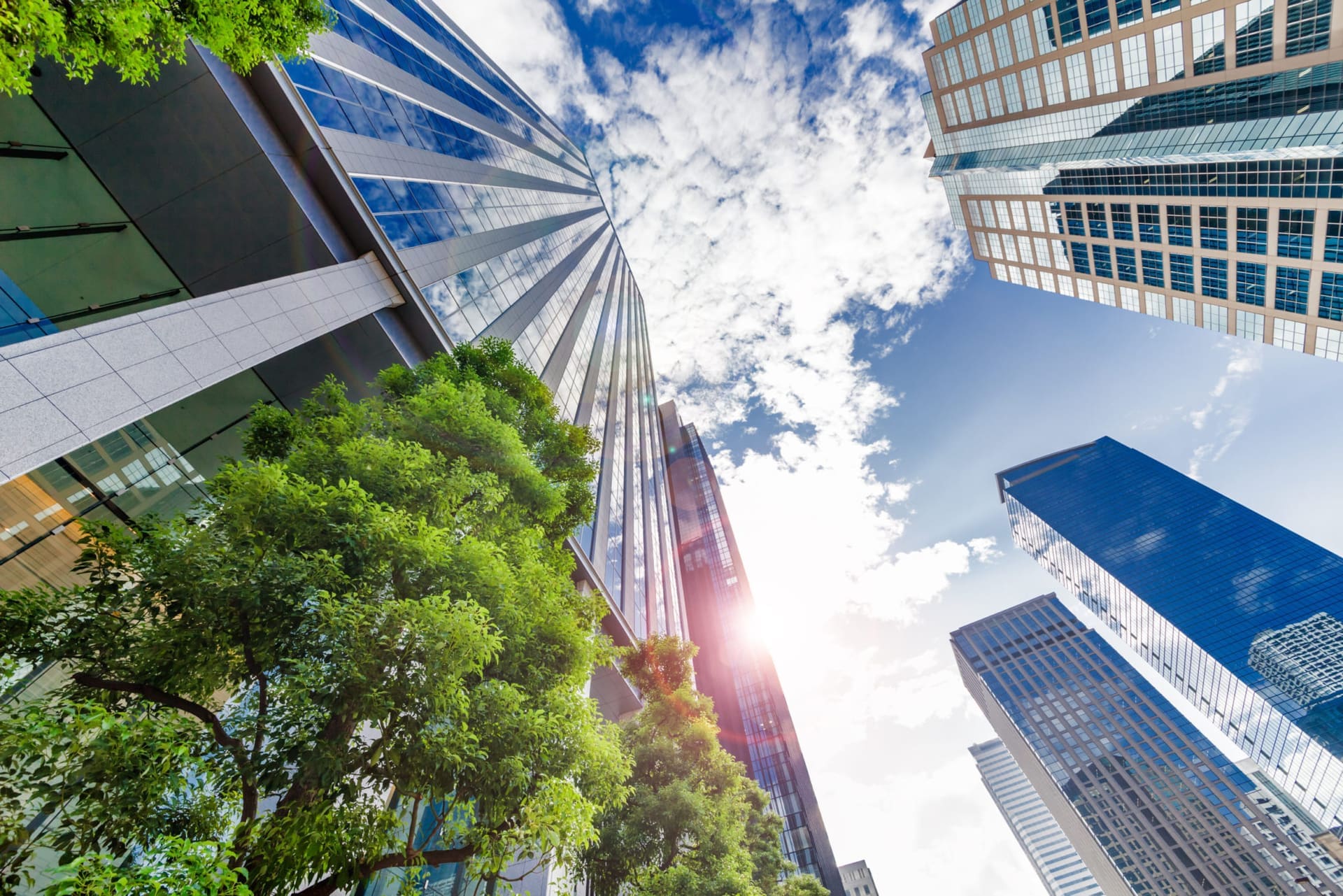 Approche par scénarios à court et long terme pour rendre l'immobilier plus durable